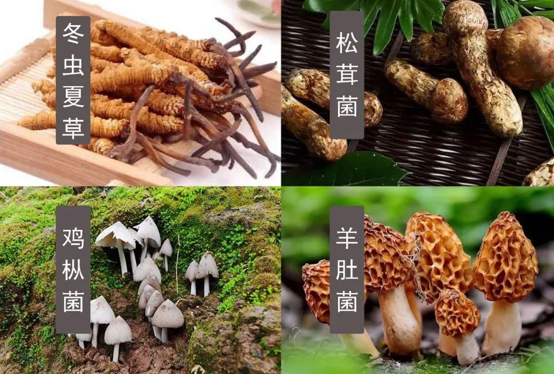 每天吃一物，气血足了，色斑没了，医生称它为血管清道夫！