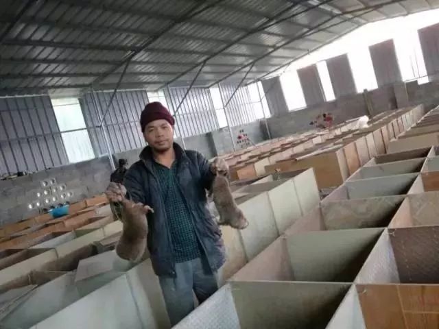 致富经广西山区养鱼_广西种养致富项目_广西免费养殖致富