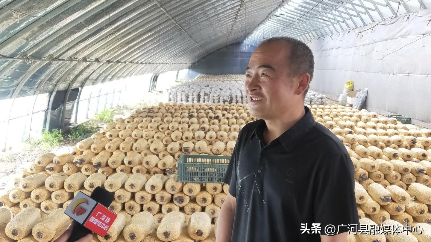 养殖草鸡致富_致富养殖草鸡视频_草鸡养殖公司