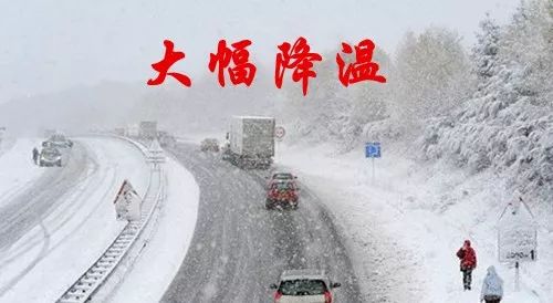 珍珠养殖鳖技术要求_珍珠鳖养殖场_珍珠鳖的养殖技术