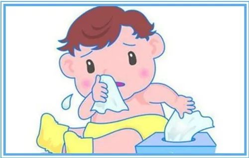珍珠鳖的养殖技术_珍珠鳖养殖场_珍珠养殖鳖技术要求