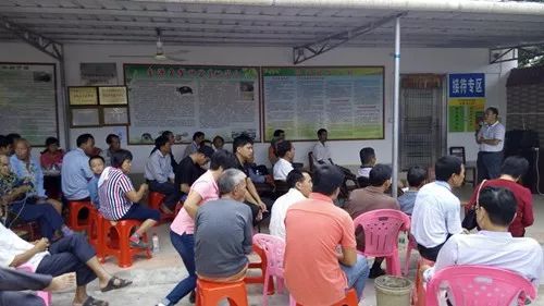珍珠养殖鳖技术要求_珍珠鳖养殖场_珍珠鳖的养殖技术