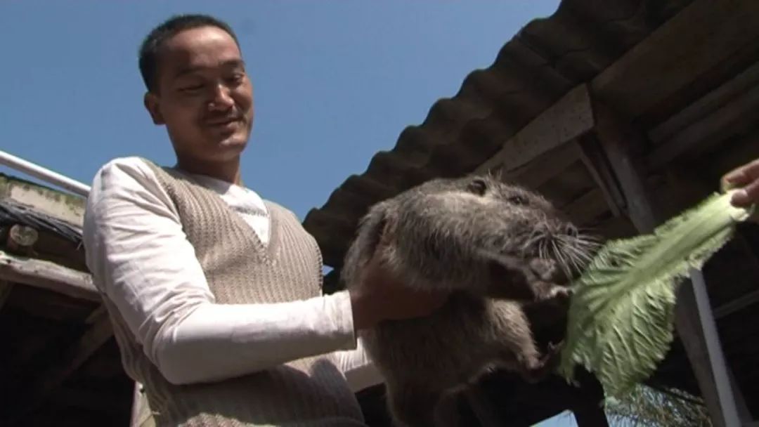 广西种养致富项目_广西免费养殖致富_广西农村养殖赚钱项目