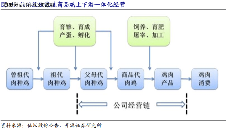 河南养鸡主要是什么品种_河南种鸡养殖技术哪家好_河南鸡苗养殖基地