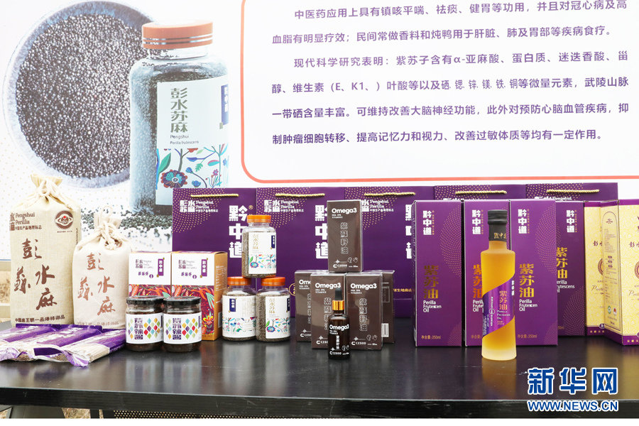 致富中医种植项目怎么样_中医种植致富项目_致富种植中药材合作社