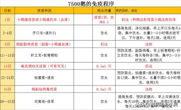 狮头鹅养殖注意事项_狮头鹅养殖视频播放_狮头鹅养殖技术规程