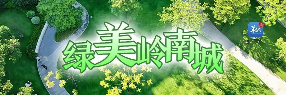 种植荔枝赚钱吗_荔枝种植利润_荔枝种植致富项目