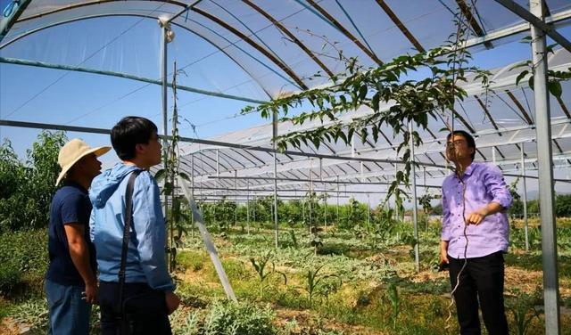 未来五年，农村发展前景不错的5个行业，是哪5种？