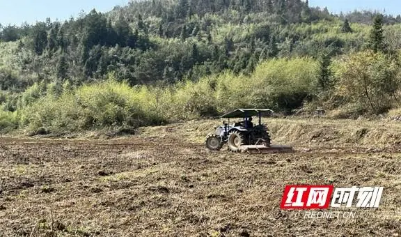 烟叶种植致富视频_烟叶种植技术视频_种植烟叶的利润怎么样