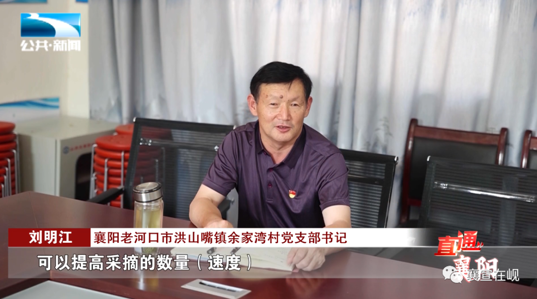 湖北淡水养殖致富_湖北水产养殖基地_湖北淡水鱼养殖