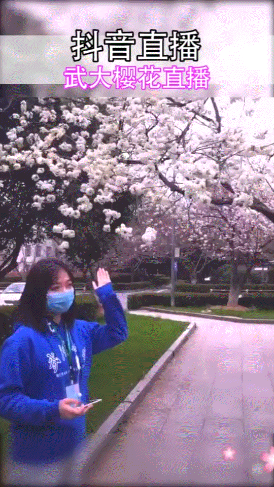 抖音上的旅游博主靠什么赚钱_抖音旅游优质博主经验_旅游博主抖音简介怎么写