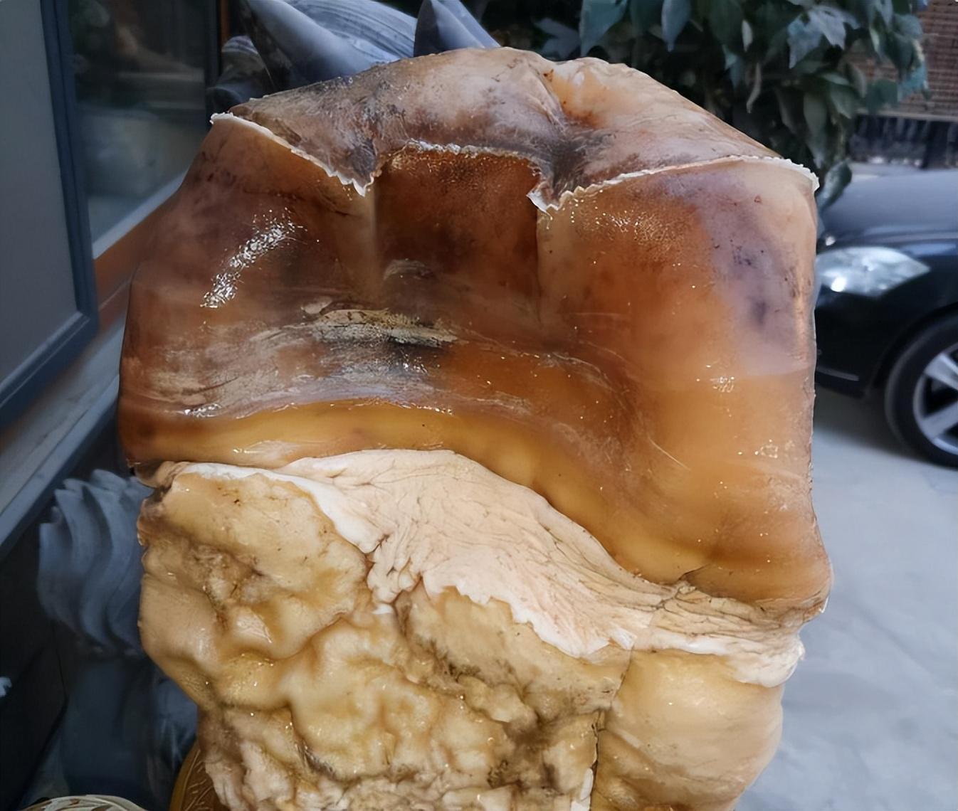 馒头种植致富项目_致富馒头种植项目介绍_致富馒头种植项目怎么样