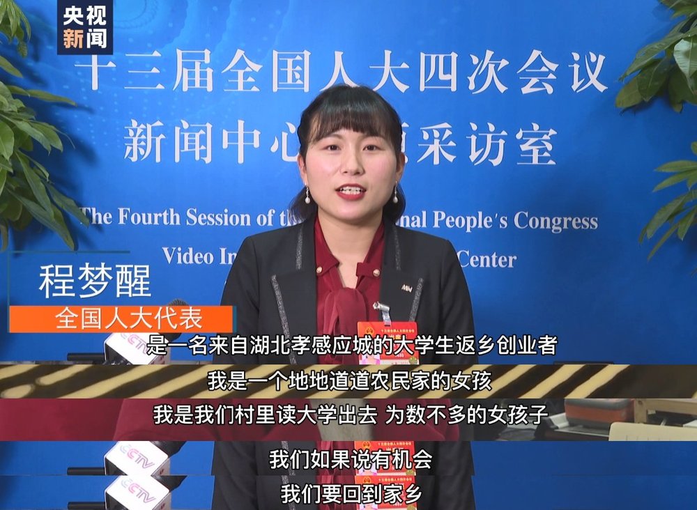 致富经丹参_丹参收益_致富经丹参种植