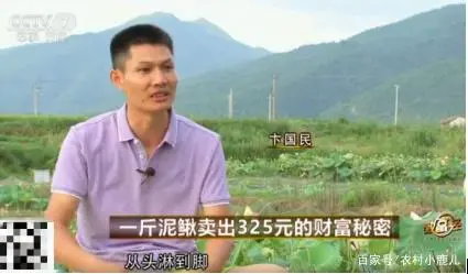 中央农业致富经视频_中央七台致富经种植_中央台致富节目有哪些