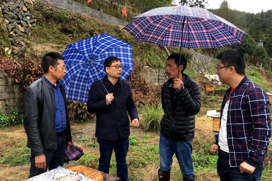 致富经水库养8万甲鱼不见了_cctv7 致富经甲鱼_致富经甲鱼养殖视频播放