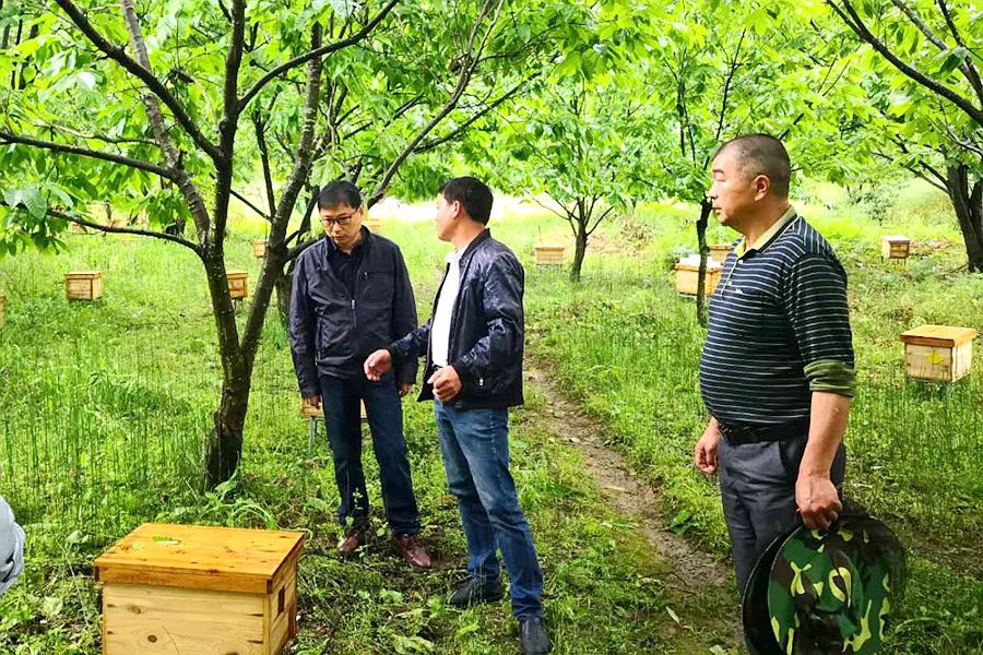 致富经甲鱼养殖视频播放_致富经水库养8万甲鱼不见了_cctv7 致富经甲鱼