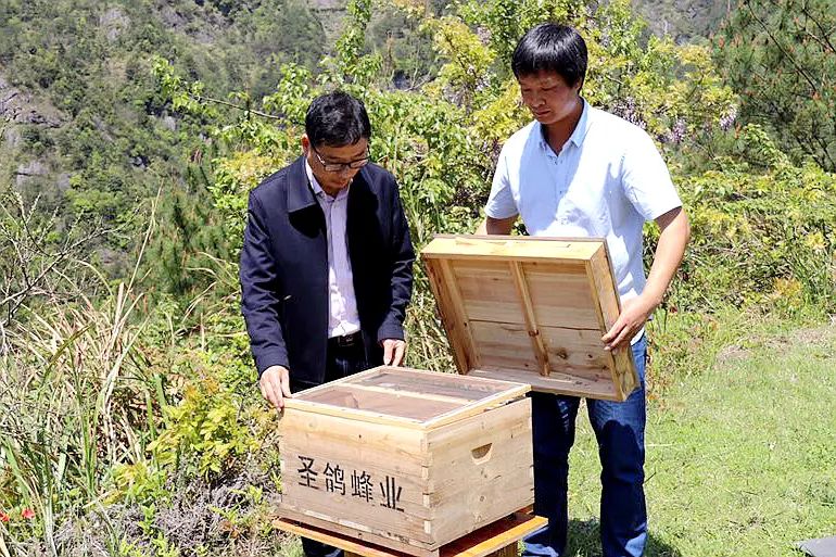 致富经甲鱼养殖视频播放_致富经水库养8万甲鱼不见了_cctv7 致富经甲鱼