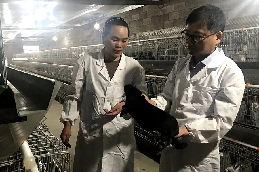 致富经水库养8万甲鱼不见了_cctv7 致富经甲鱼_致富经甲鱼养殖视频播放