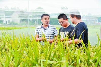 致富经养青蛙是真的_致富经养青蛙是真的_致富经养青蛙是真的