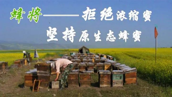 养殖梅花鹿致富_养梅花鹿致富经_养殖梅花鹿是骗局吗