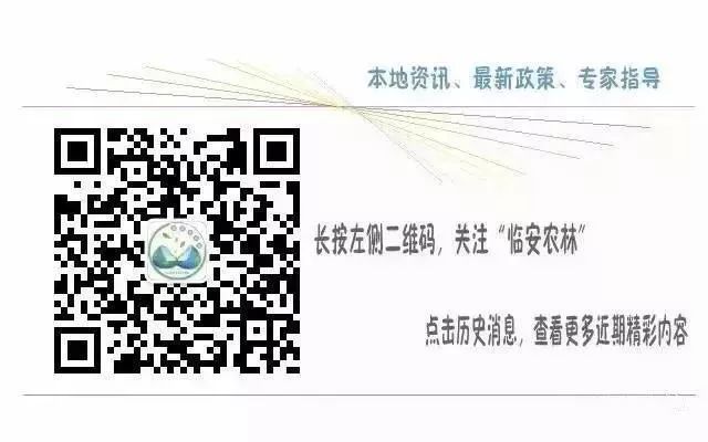 养梅花鹿致富经_养殖梅花鹿是骗局吗_养殖梅花鹿致富