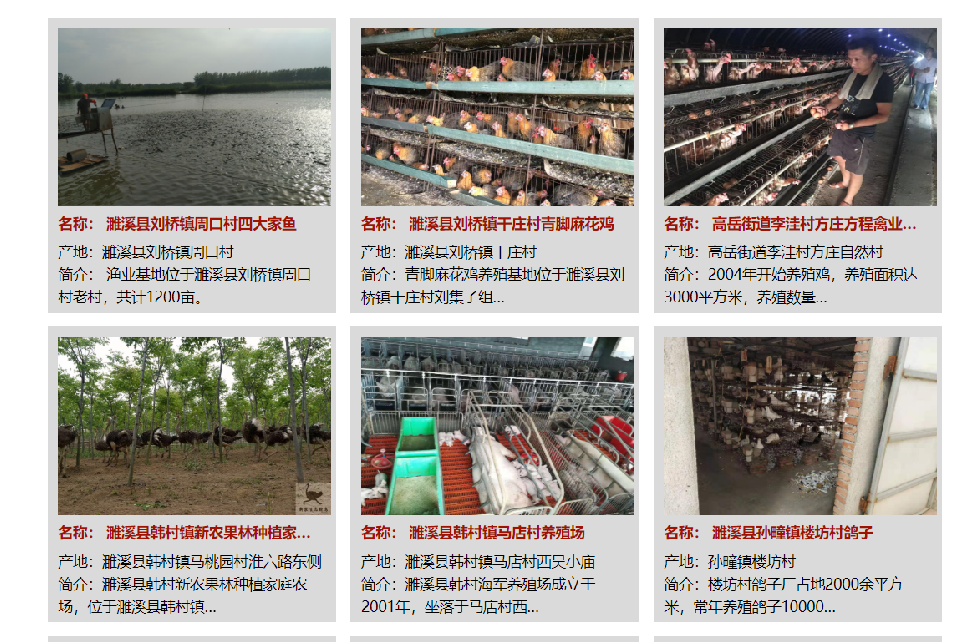 蘑菇致富有新招_蘑菇养殖致富视频_蘑菇的养殖技术视频播放