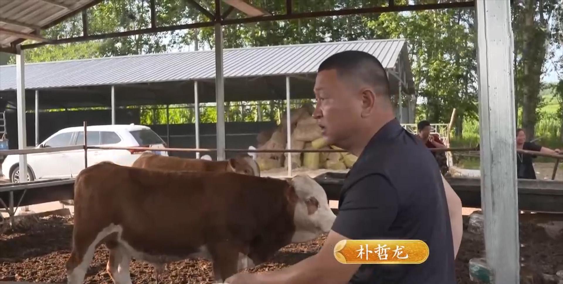 如今加盟0元致富商机_致富商机好项目创业商机好项目_致富经在骨头里发现商机