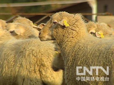[致富经]房地产商在偏僻山村的财富发现(20120803)