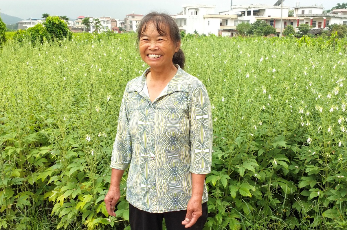 致富经大棚蔬菜_致富经大棚养猪_大棚种植致富图片