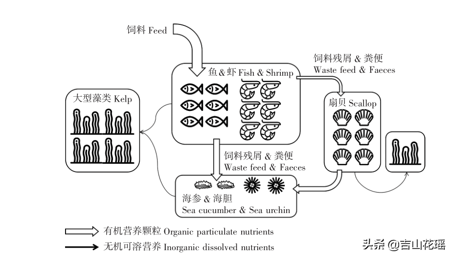多营养层次生态养殖模式简析