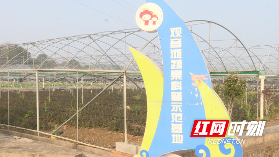 新春走基层丨大学生黄群：返乡创业筑梦田园 蔬菜种植收获好前景