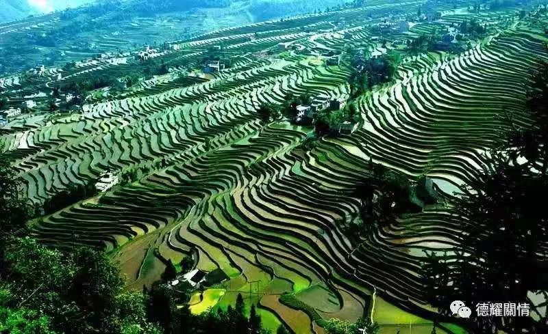 原先“野鸡坡”，现在“凤凰台”，古蔺这里大变样！