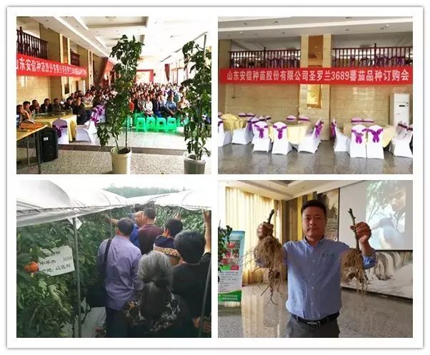 以色列种植技术_以色列种植致富_以色列农业种植