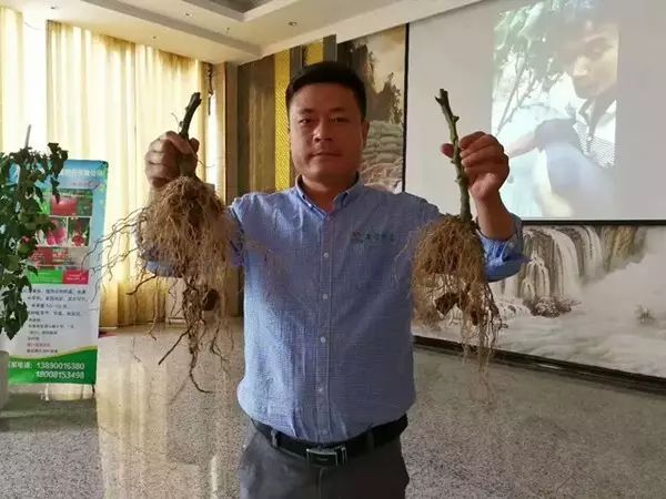 以色列种植技术_以色列农业种植_以色列种植致富