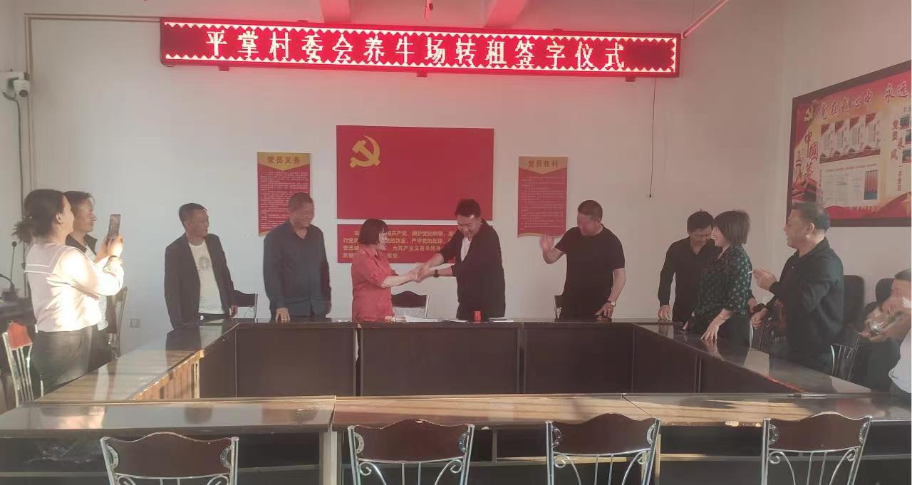 南华一街乡：“犇”向牛产业，念好“致富经”