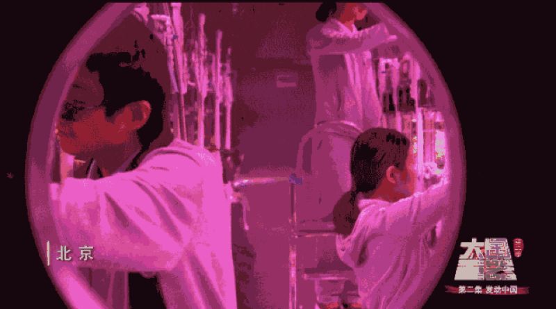 黄粉虫可以喂面包吗_面包黄粉虫的养殖技术_面包虫和黄粉虫有什么区别了