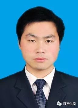 飞鼠养殖致富技术_养殖飞鼠的经济效益与前景_飞鼠养殖前景好吗