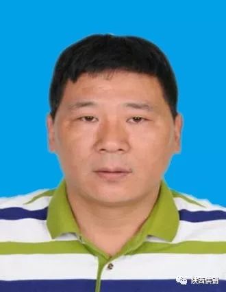 飞鼠养殖前景好吗_飞鼠养殖致富技术_养殖飞鼠的经济效益与前景