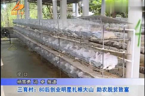 兔子致富养殖视频_视频致富养殖兔子是真的吗_养兔视频致富经科技苑