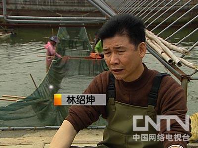 致富经鳗鱼养殖视频_2014致富经鳗_致富经鳗鱼许少武