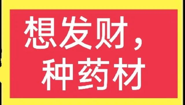 药材种植业致富项目_致富 药材种植_致富药材种植基地地址