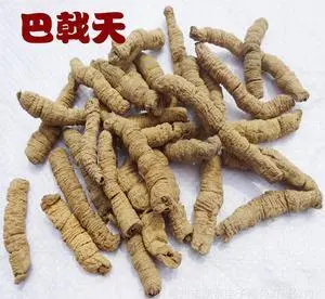 致富 药材种植_药材种植业致富项目_致富药材种植基地地址