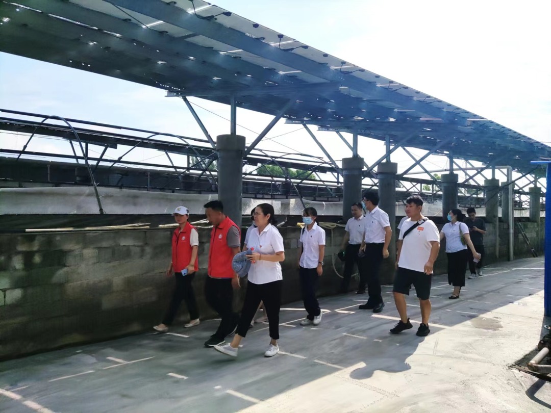 跑道养鱼设备的价格_跑道养鱼技术难题_跑道鱼养殖技术视频