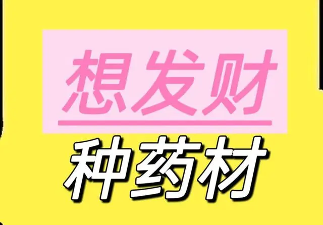 种什么药材能赚钱？