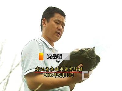 甲鱼养殖视频致富经_致富经小甲鱼养殖视频_致富经甲鱼养殖技术视频