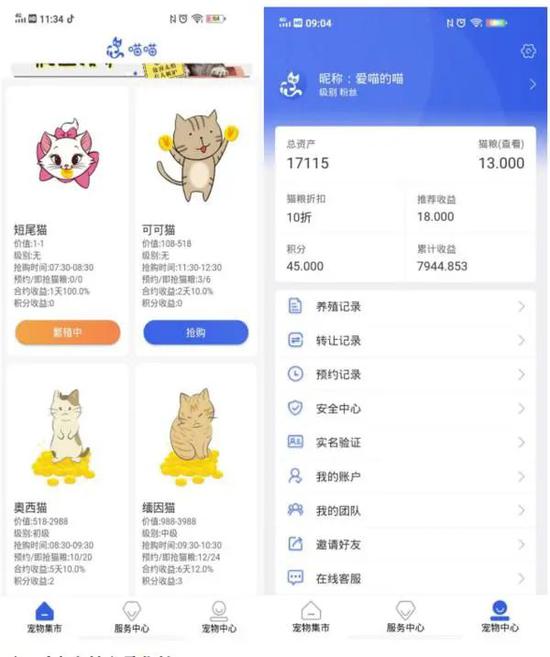 致富经养猫_致富经豹猫养殖_致富经养猫 - 百度