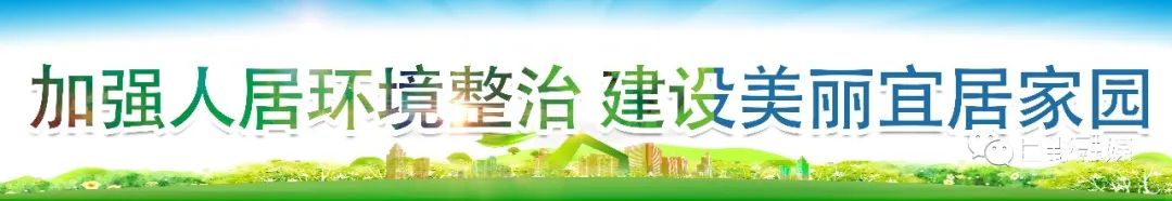 花生种植效益_花生致富种植方法_花生种植如何致富