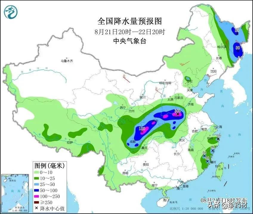 独家！经历倒春寒与两轮暴雨后的山茱萸能否平静？