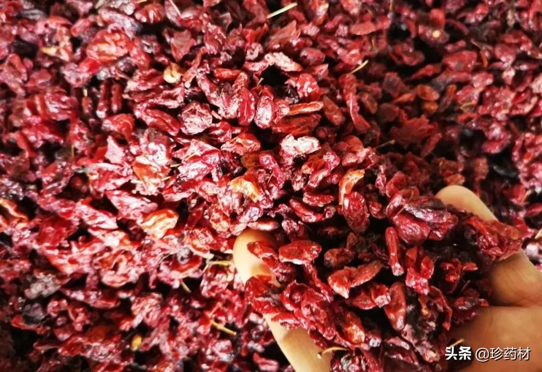 山萸肉种植技术_山萸肉种子用途_种植山萸肉的经济效益