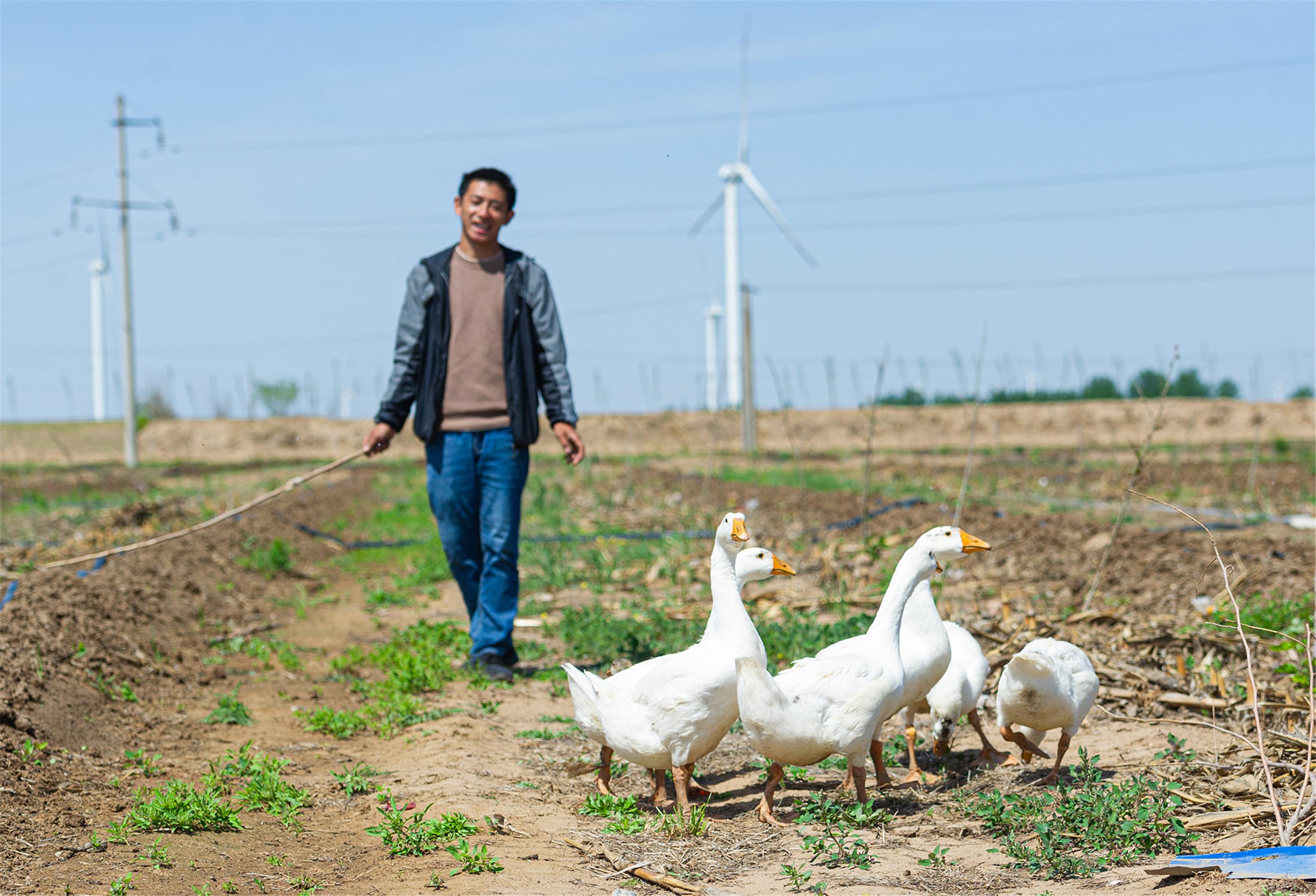 致富养殖蚯蚓农民图片_农民致富养殖蚯蚓_农村养殖蚯蚓赚钱吗